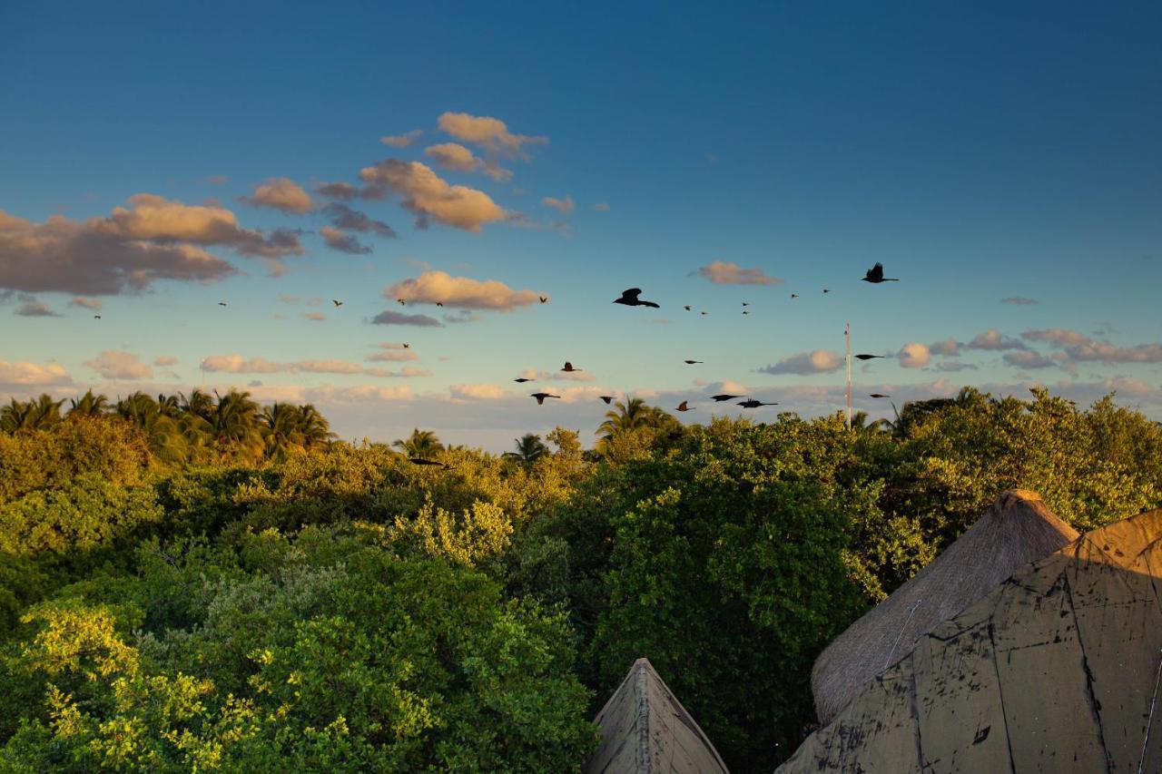 Mamasan Treehouses & Cabins Тулум Екстер'єр фото